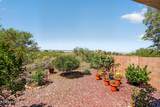 17688 Vermillion Sunset Drive - Photo 30