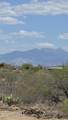 16110 Avenida Greene - Photo 40