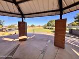 13289 Rainbow Cactus Court - Photo 45