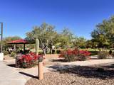 13289 Rainbow Cactus Court - Photo 47