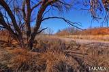 Redrock Drive - Photo 13