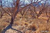  Redrock Drive - Photo 22