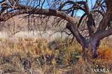  Redrock Drive - Photo 23