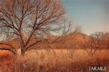  Redrock Drive - Photo 31
