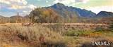  Redrock Drive - Photo 8