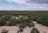40.7 AC Parker Road - Photo 17