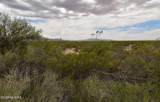 40.7 AC Parker Road - Photo 5