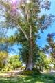 4550 Flowing Wells Road - Photo 24