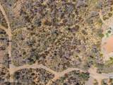 2.5 ac Oak Hills Drive - Photo 6