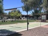 344 Paseo Pena - Photo 16