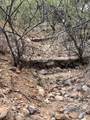 1835 Camino China - Photo 18