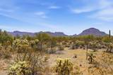 2301 Hohokam Drive - Photo 31