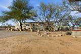 12625 Cactus Ridge Drive - Photo 26