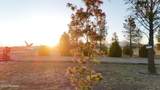 2911 Willow Tree Lane - Photo 49
