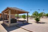 9939 Spiney Cactus Way - Photo 35