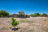 9939 Spiney Cactus Way - Photo 42