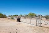 9939 Spiney Cactus Way - Photo 43
