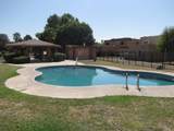 6533 Calle La Paz - Photo 13