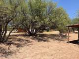 221 Patton Street - Photo 38