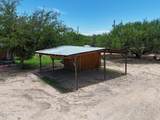 221 Patton Street - Photo 41