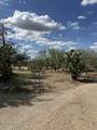 49401 Panther Butte Road - Photo 15