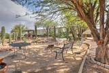 17201 Silverbell Road - Photo 11