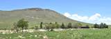 3575 Circle M Ranch Road - Photo 3