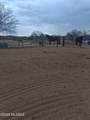13045 Trico Road - Photo 11