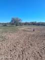 13045 Trico Road - Photo 19
