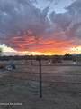 13045 Trico Road - Photo 32