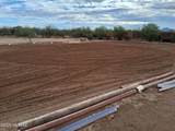 13045 Trico Road - Photo 39
