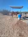13045 Trico Road - Photo 6