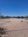 13045 Trico Road - Photo 8