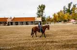 13500 Oracle Road - Photo 4