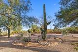 3120 Lobo - Photo 35
