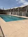 1776 Palo Verde Avenue - Photo 12