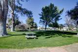 135 Paseo Quinta - Photo 32