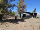 4290 Highway 82 - Photo 36