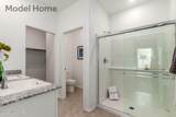 10125 Camperi Lane - Photo 14