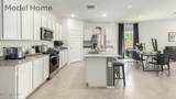 722 Calle Manolete - Photo 11