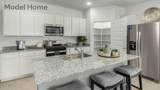 722 Calle Manolete - Photo 15