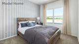 722 Calle Manolete - Photo 26