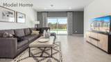 722 Calle Manolete - Photo 3