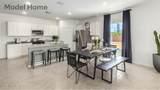 722 Calle Manolete - Photo 8
