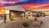 10172 Ferox Drive - Photo 2