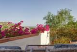 4535 Buckskin Way - Photo 43