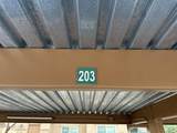 7050 Sunrise Drive - Photo 41