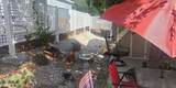 1030 Barrel Cactus Ridge - Photo 6