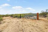 7342 Pistol Hill Road - Photo 39