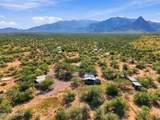 27049 Coopers Hawk Road - Photo 23